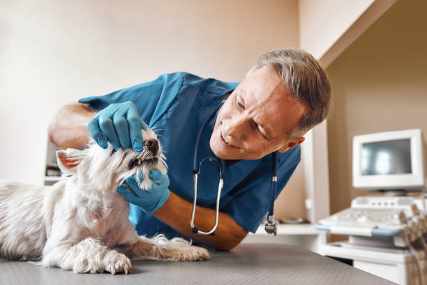 Best Emergency Wisdom Teeth Removal in Yreka, CA